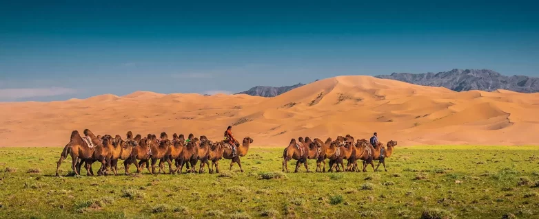 travel to Mongolia from us