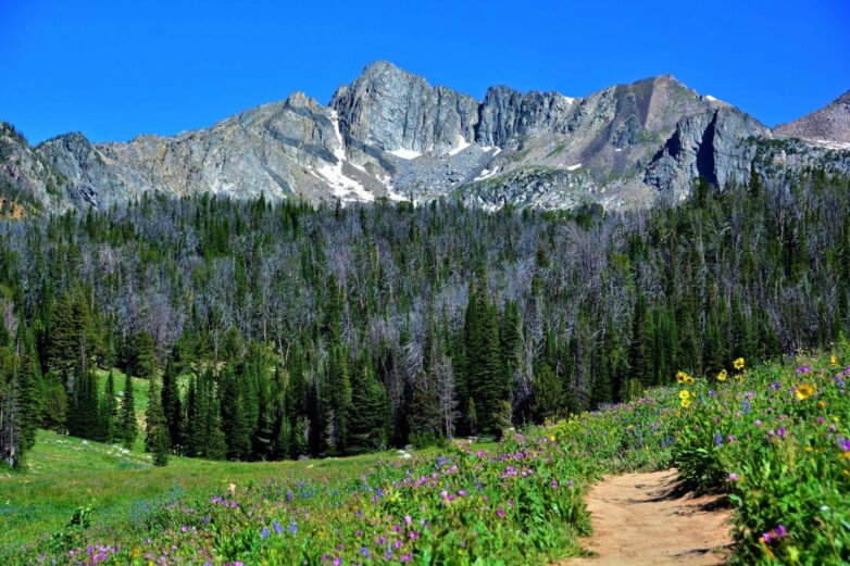 The 7 Short and Easy Hiking Trails in Montana