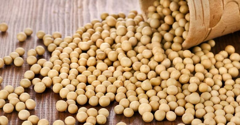 Men’s Health Benefits of Soybeans