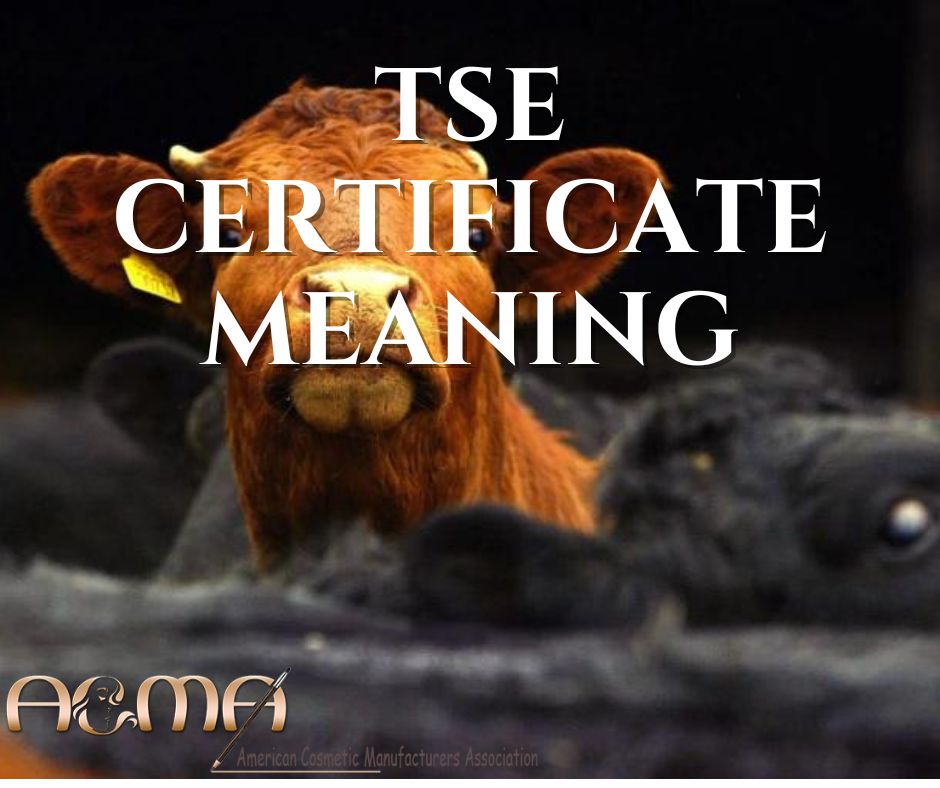 The Fact About TSE Certificate Meaning that No One Is Suggesting