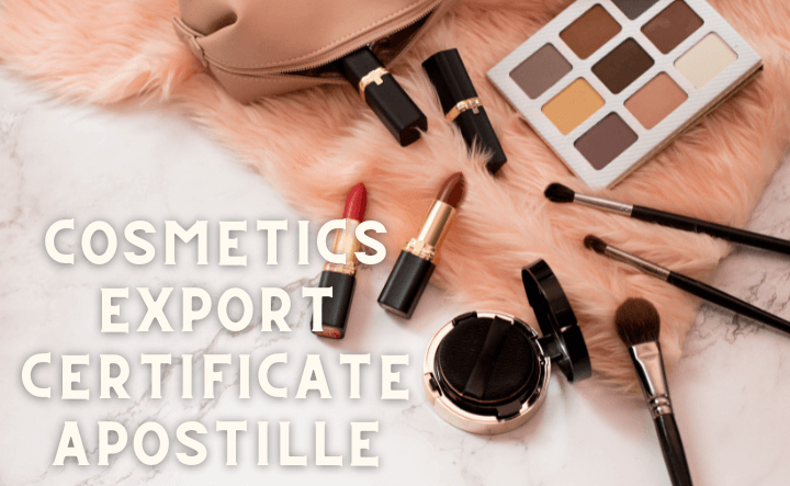 Top Guidelines of Exporting Cosmetics